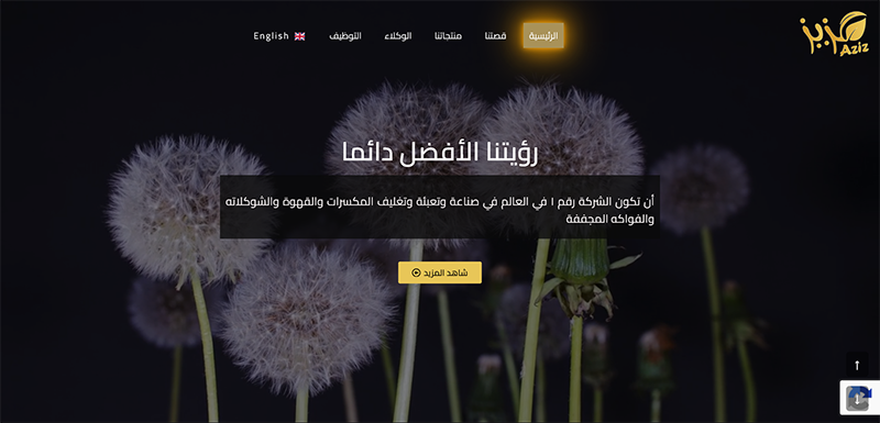 My Project - Aziz SA